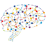 Cover image for "Proteostasis in Central Nervous System Disorders"