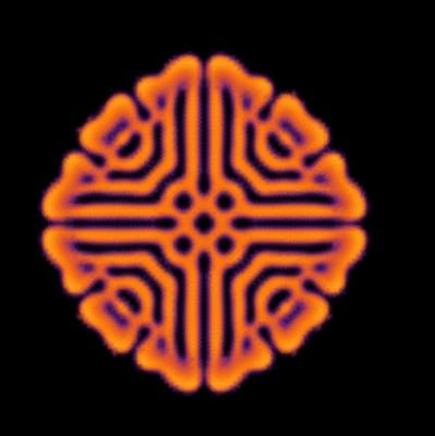 Cover image for research topic "Pattern Formation in Biology"