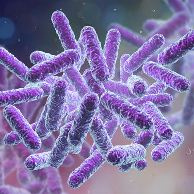 Cover image for research topic "Crosstalk Between the Microbiota and Host Mucosa: the Impact on Mucosa Development, Dysfunction and Diseases"
