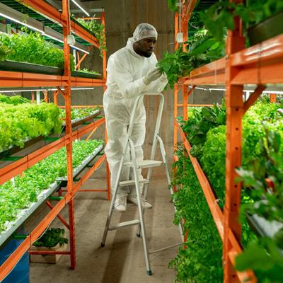 Cover image for research topic "Accelerating Genetic Gain for Key Traits Using Genome-Wide Association Studies and Genomic Selection: Promising Breeding Tools for Sustainable Agriculture"