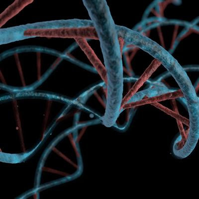 Cover image for research topic "Molecular mechanism of aging and therapeutic advances through targeting glycative and oxidative stress"