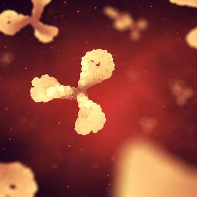 Cover image for research topic "Community series in Reassessing the Immune System Contribution in Multiple Sclerosis: Therapeutic Target, Biomarkers of Disease and Immune Pathogenesis - Volume II"
