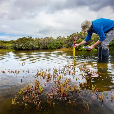 Cover image for research topic "Microbial Ecological and Biogeochemical Processes in the Soil-Vadose Zone-Groundwater Habitats"