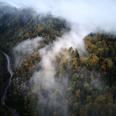 Cover image for research topic "Impacts of Global Change on Protective Forests in Mountain Areas"