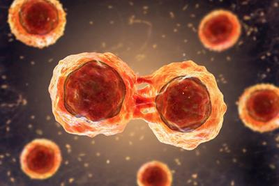 Cover image for research topic "Genetic Disorders and Rare Diseases: In Vitro Models for Preclinical Pharmacological Studies and Translation"