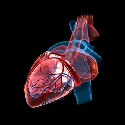 Cover image for research topic "Proven and Innovative Methods of ex vivo Examination of Atherosclerotic and Aortic Valve Lesions"