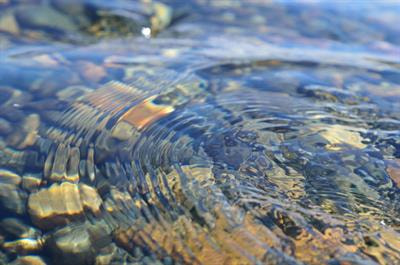 Cover image for research topic "Changing the Discourse:
From the Rhetoric on Women and Water to a Feminist Water Agenda"