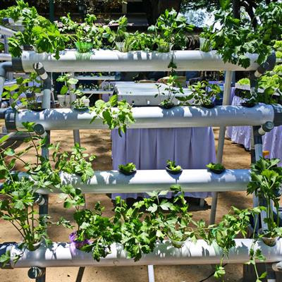 Cover image for research topic "Agri-food Innovations in the Quest for Food and Environmental Security"