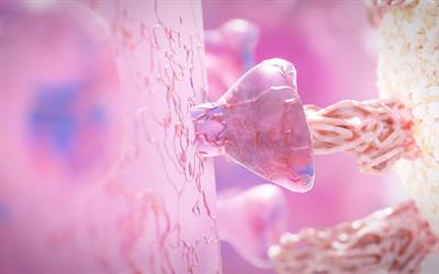 Cover image for research topic "Immunometabolic Crosstalk During Viral Infection"