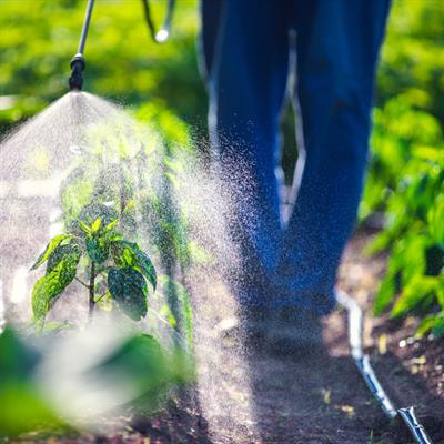 Cover image for research topic "Agrochemicals in agricultural and non-agricultural settings: Fate, distribution, and potential human and environmental health hazards"