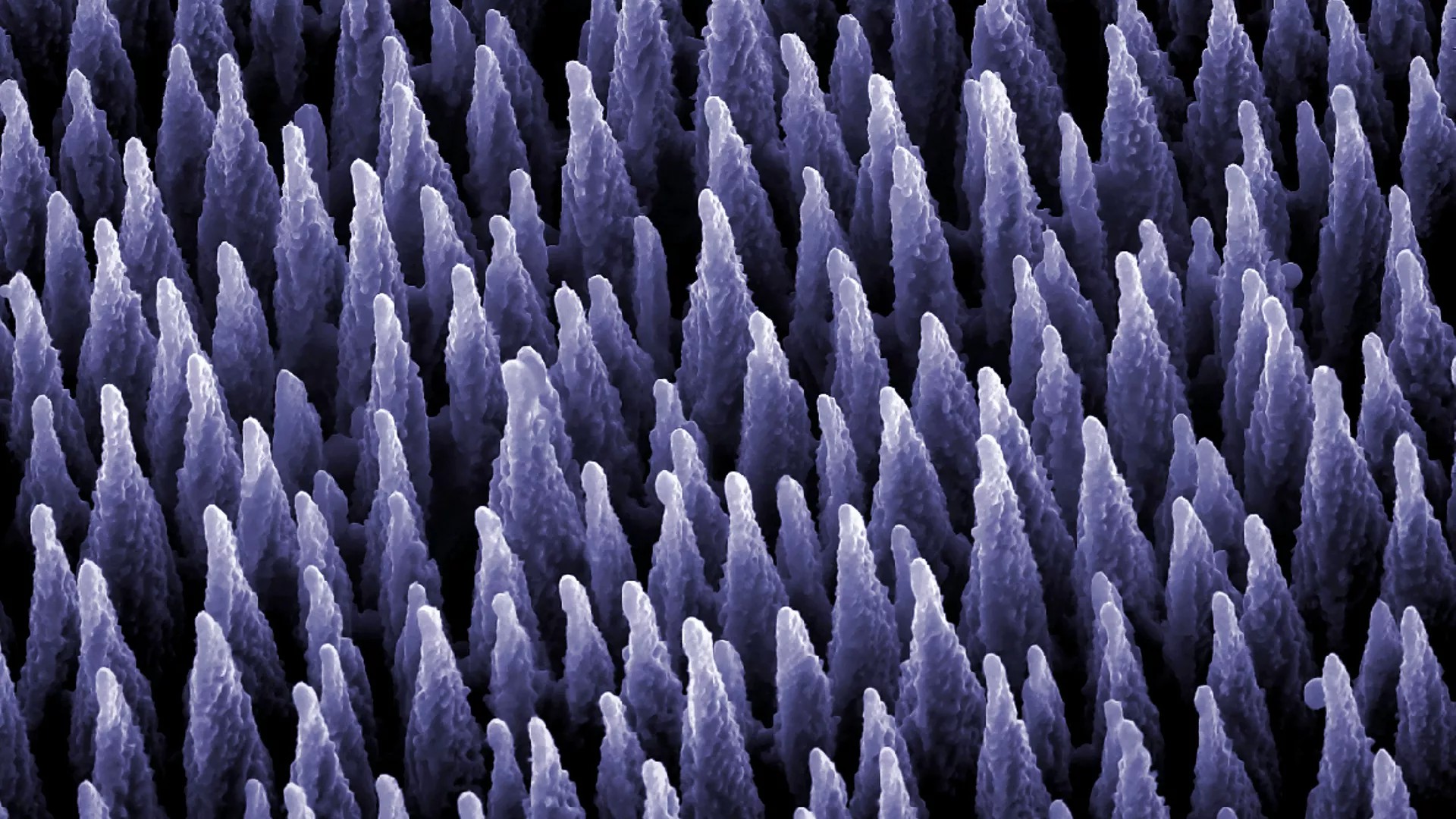 Cover image for "2022 Retrospective: Carbon-Based Materials"