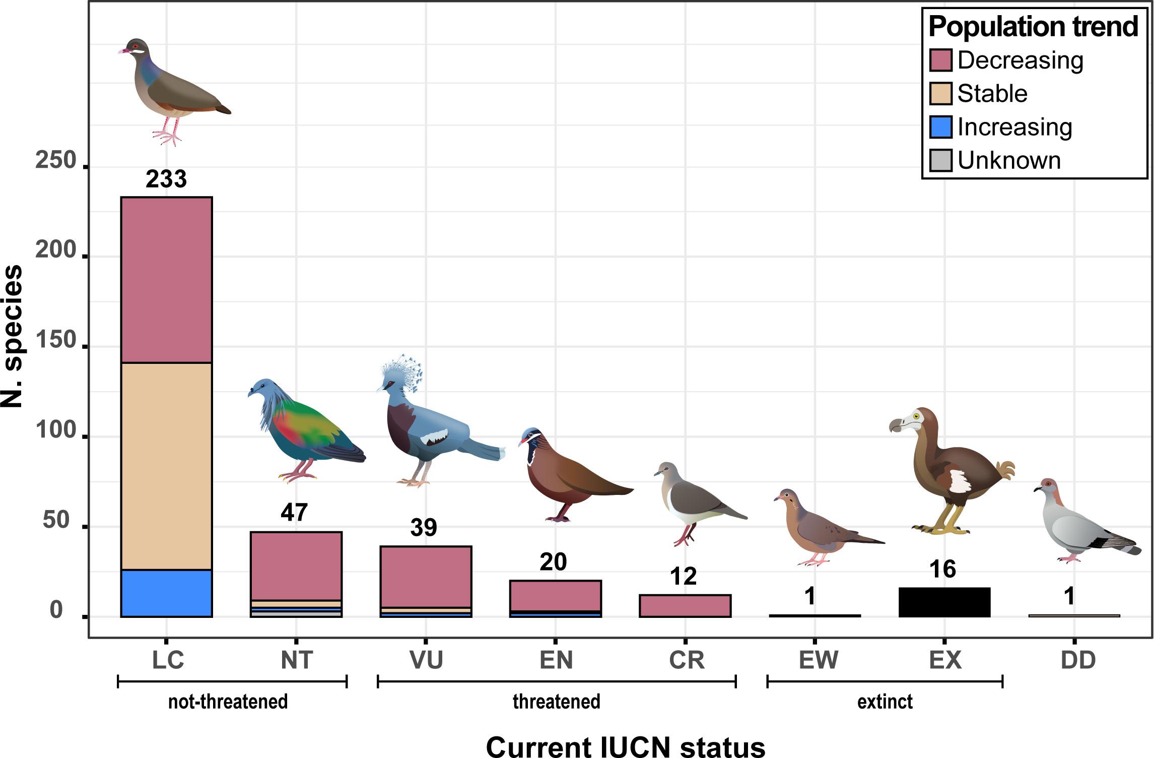Exploring the Diversity: A Guide to Pigeon Varieties Worldwide