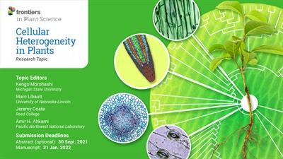 Cover image for "Cellular Heterogeneity in Plants"