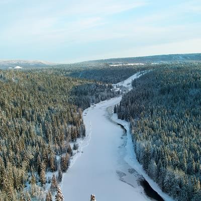 Cover image for research topic "Achieving Sustainable Development Goal 13: Resilience and Adaptive Capacity of Temperate and Boreal Forests Under Climate Change"