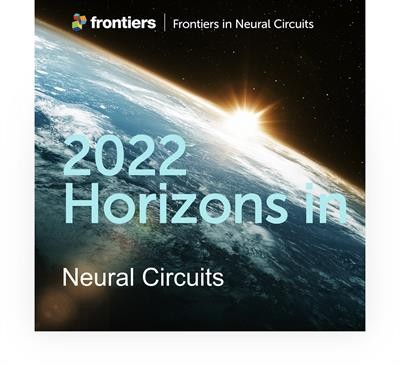 Cover image for research topic "Horizons in Neural Circuits, Volume II"