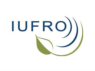 Cover image for research topic "Foliar, Shoot, Stem and Rust Diseases of Trees IUFRO 2022"