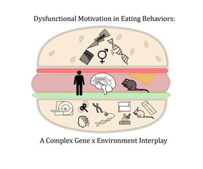 Cover image for "Dysfunctional Motivation in Eating Behaviors: A Complex Gene x Environment Interplay"