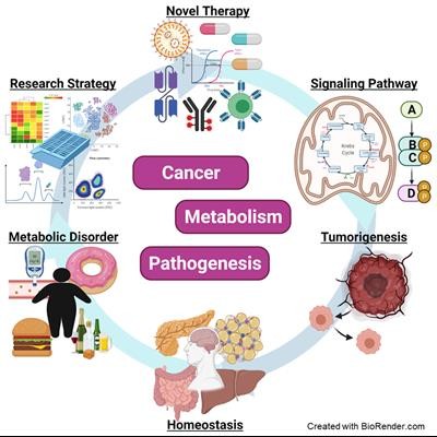 Cover image for research topic "Double-Edged Swords: Important Factors Connecting Metabolic Disorders and Cancer Development - From Basic Research to Translational Applications - Volume II"