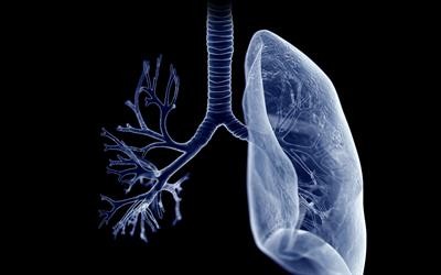 Cover image for research topic "Perspectives in Pharmacological Therapy Targeting Cellular Metabolic Pathways in Respiratory Diseases"