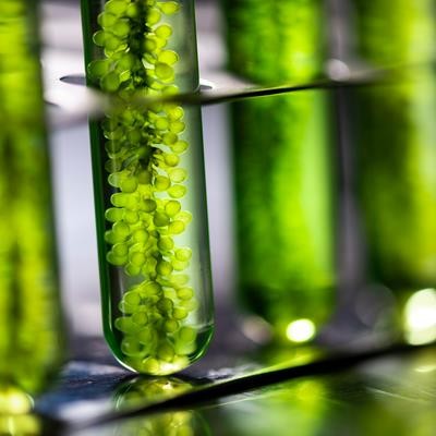 Cover image for research topic "Laboratory-based green extraction of natural products for pharmaceutical applications"