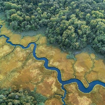 Cover image for "Degradation, Ecological Restoration and Adaptive Management of Estuarine Wetlands under Intensifying Global Changes, Volume II"